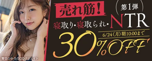 売れ筋！寝取り・寝取られ・NTR30％OFF第1弾