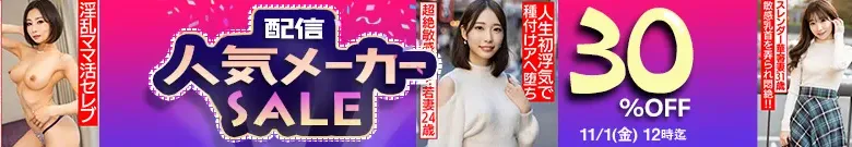 【注目】ハメドリネットワーク2ndセール