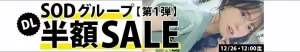【半額】小湊よつ葉&新川空!SOD人気作がお得!